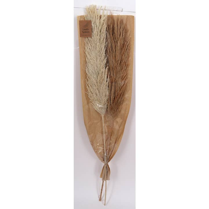Wholesale Home Decor - Wholesale Dried/Pressed Flowers - Brown Nanal Flower Stick 39in