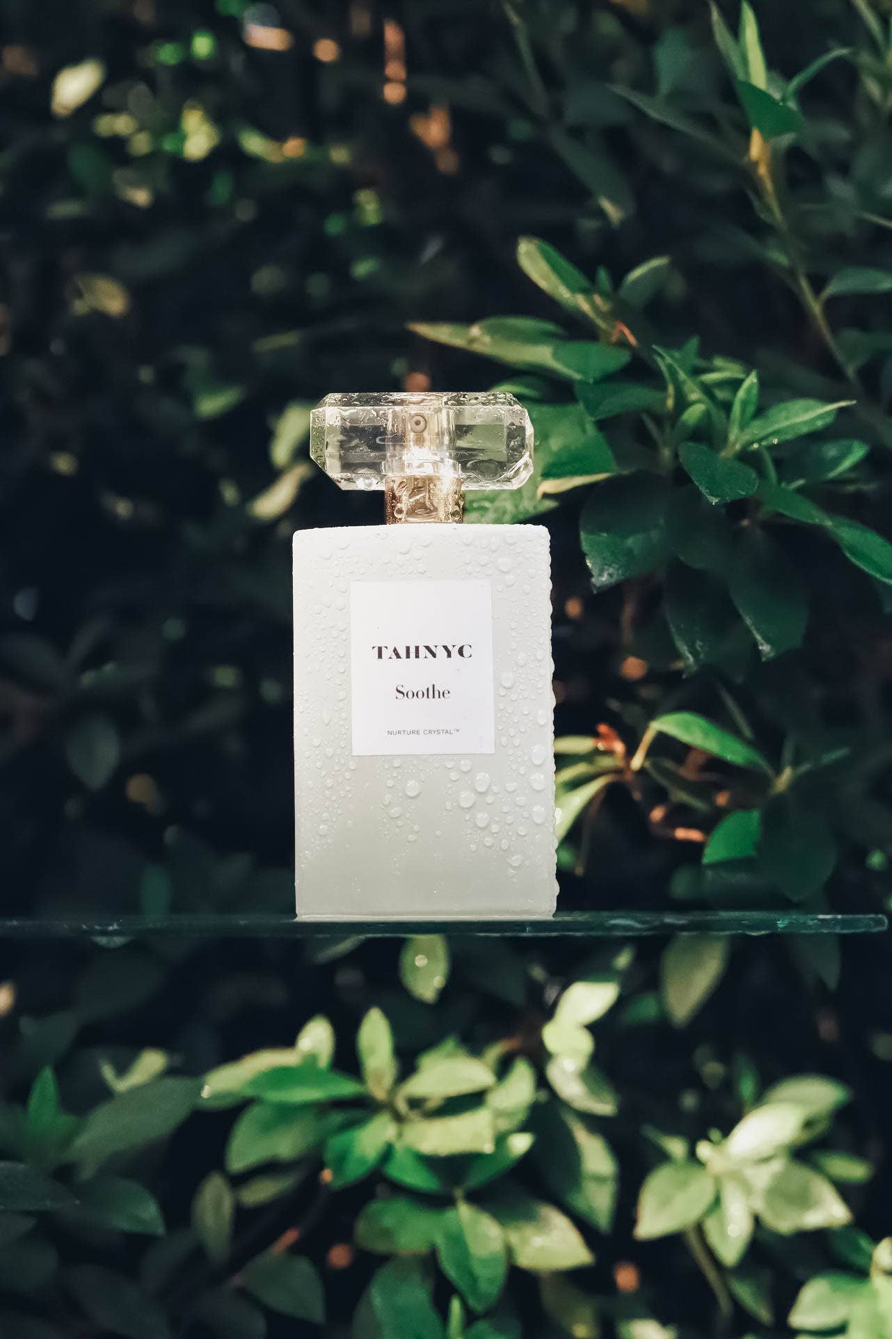 TAHNYC - Wholesale Facial Oil - Soothe Hydrate Calm and Heal Moisturizer 5