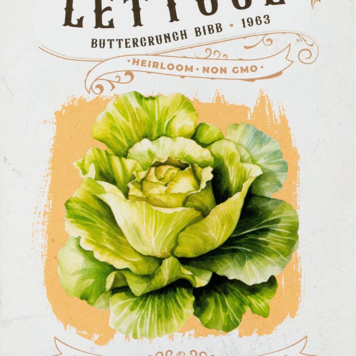 Bentley Seed Co. - Wholesale Plant Seeds - Lettuce-Buttercrunch Bib 1963
