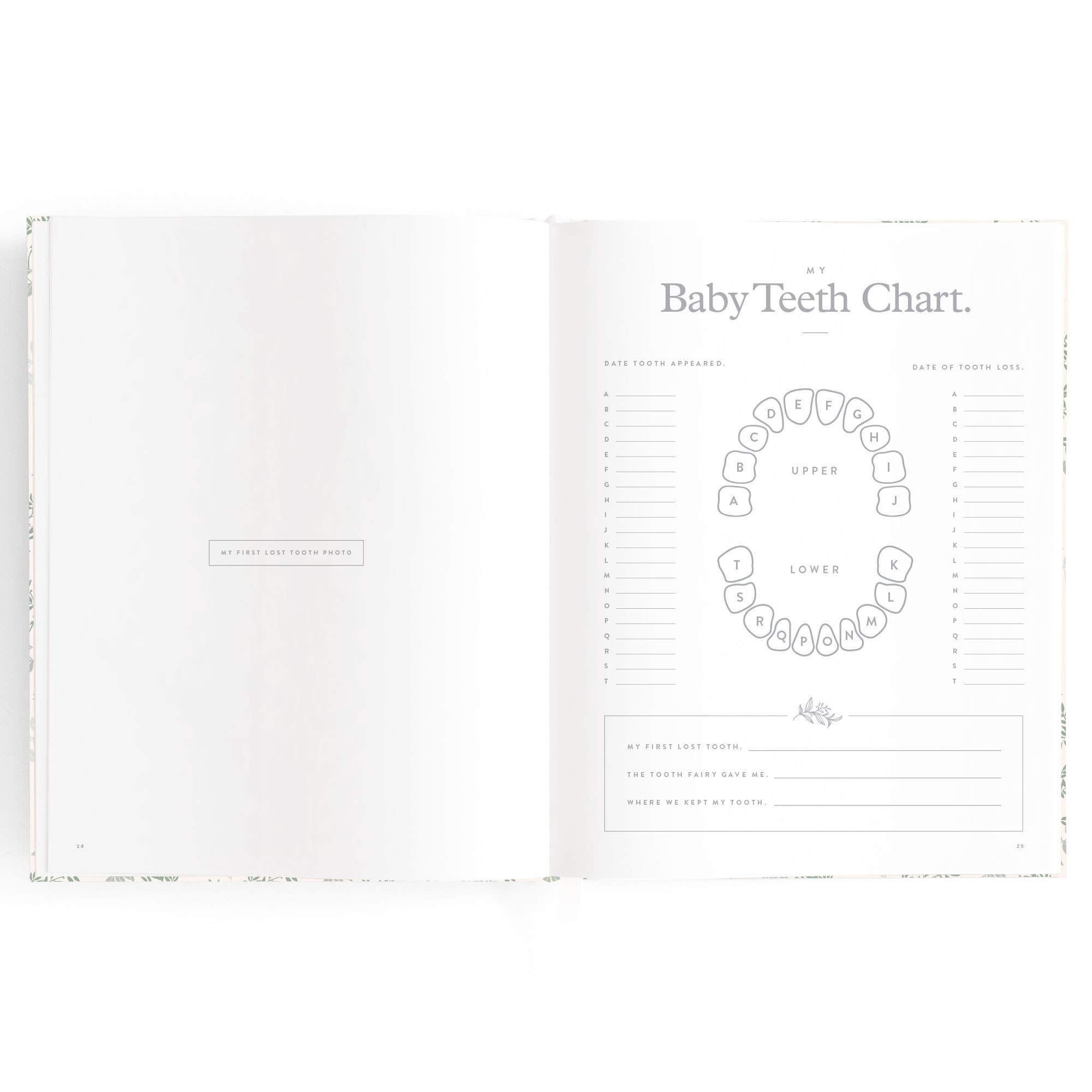 Fox & Fallow – wholesale Memory book – Child & baby – Baby Book Cypress9