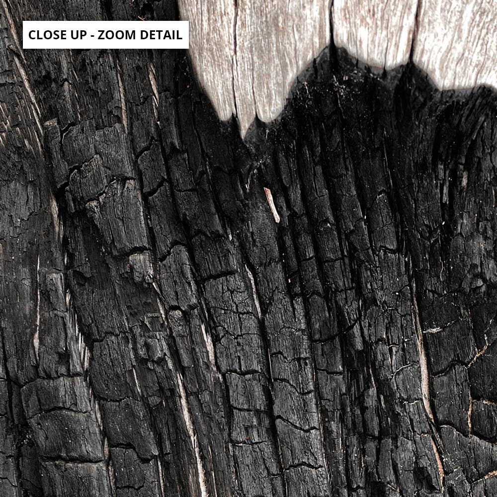 PRINT AND PROPER – Impressão artística por atacado – Impressão de casca de árvore de eucalipto. Burnt Bark Bushfire Arte abstrata2