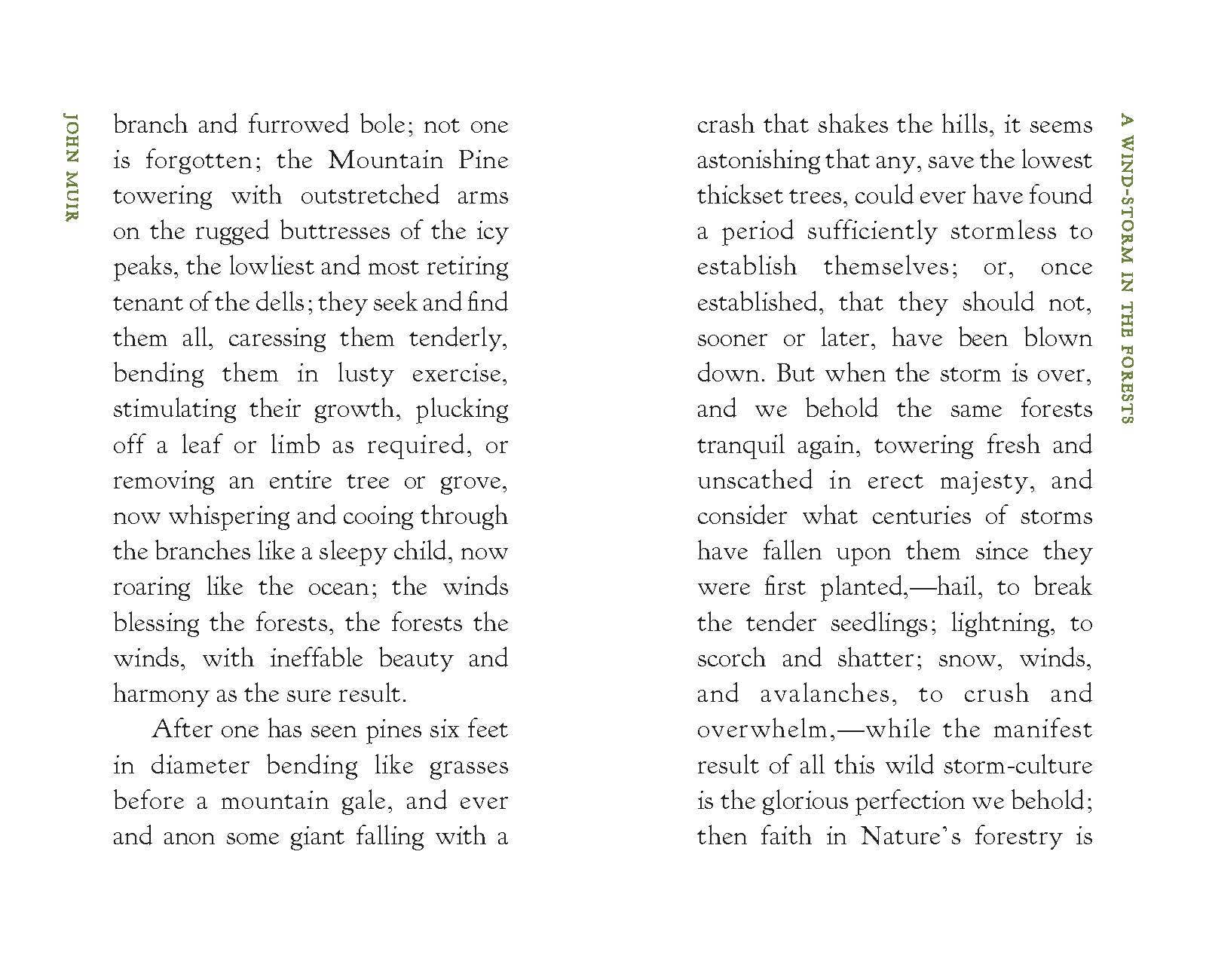 Applewood Books - Wholesale Nature & Outdoors - A Wind-Storm in the Forests2