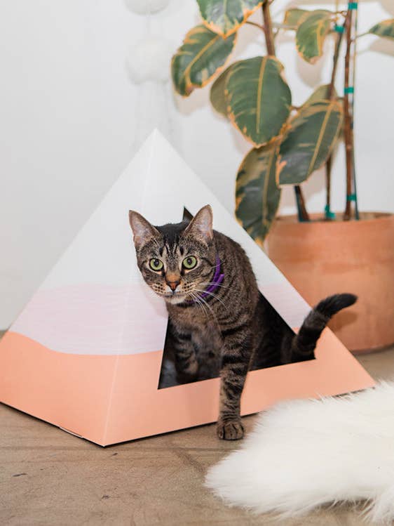 'Wavey' Cardboard Cat Pyramid for wholesale by Kitty Kardboard