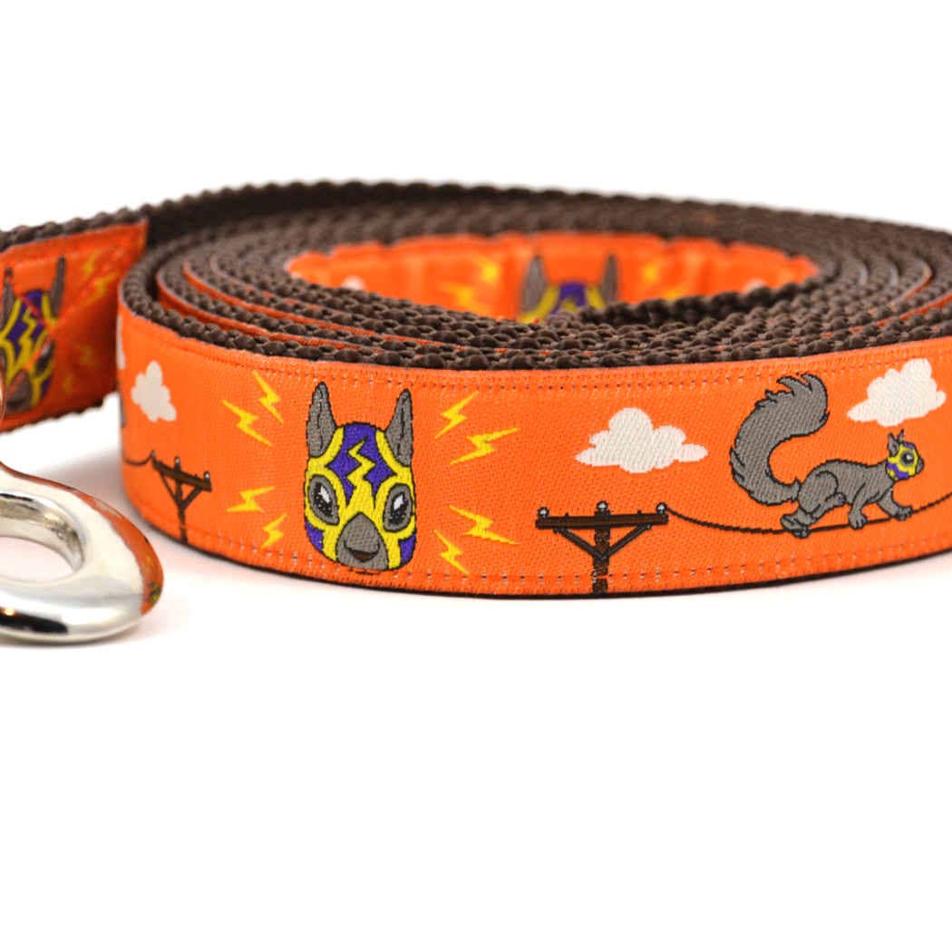six point pet - Vente Collier – chien - Écureuils Lucha - Orange pétillante3