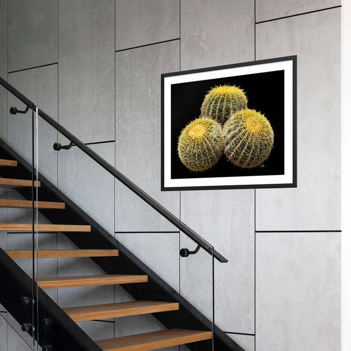 "The Barrel Brothers" Desert Collection for Faire for wholesale by The Blooming Collector