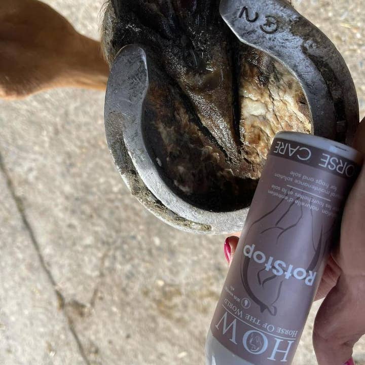 Horse of the world - Vendita all'ingrosso Balsamo per cavalli - RotStop: rimedio naturale per la suola del casco marcia2