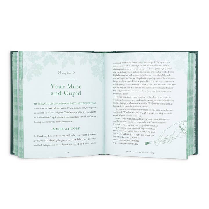 Hachette Book Group - Wholesale Body, Mind & Spirit Book - Witch's Way by Shawn Robbins3