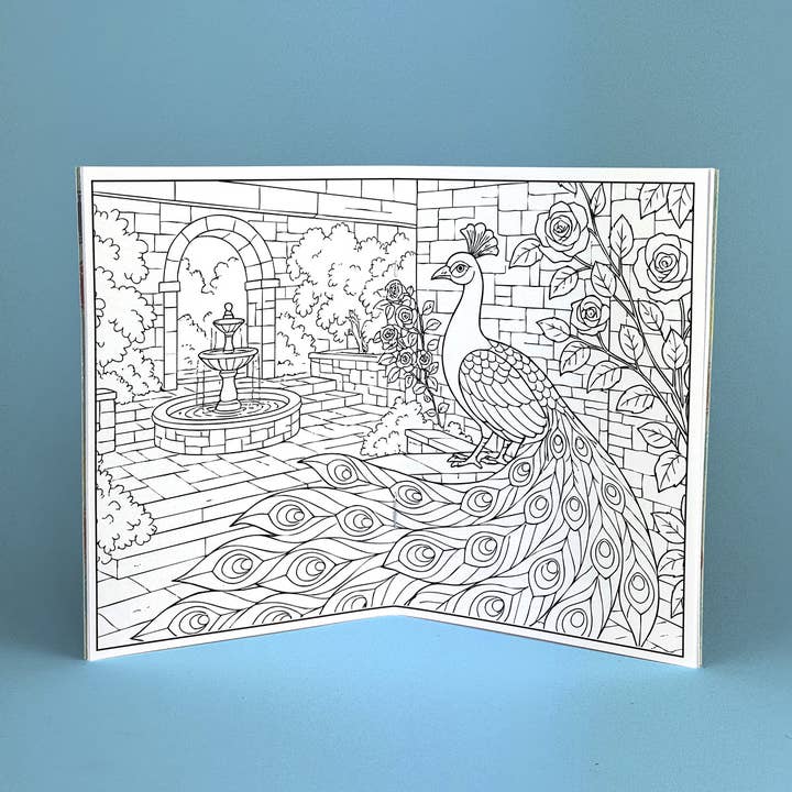 Colorfill Club - Vente Livre de coloriage et d'activités pour adultes - Livre de coloriage illustré du monde des oiseaux2