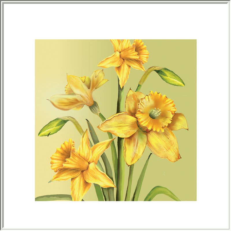 Rush Design Ltd – wholesale Everyday greeting card – Daffodils0