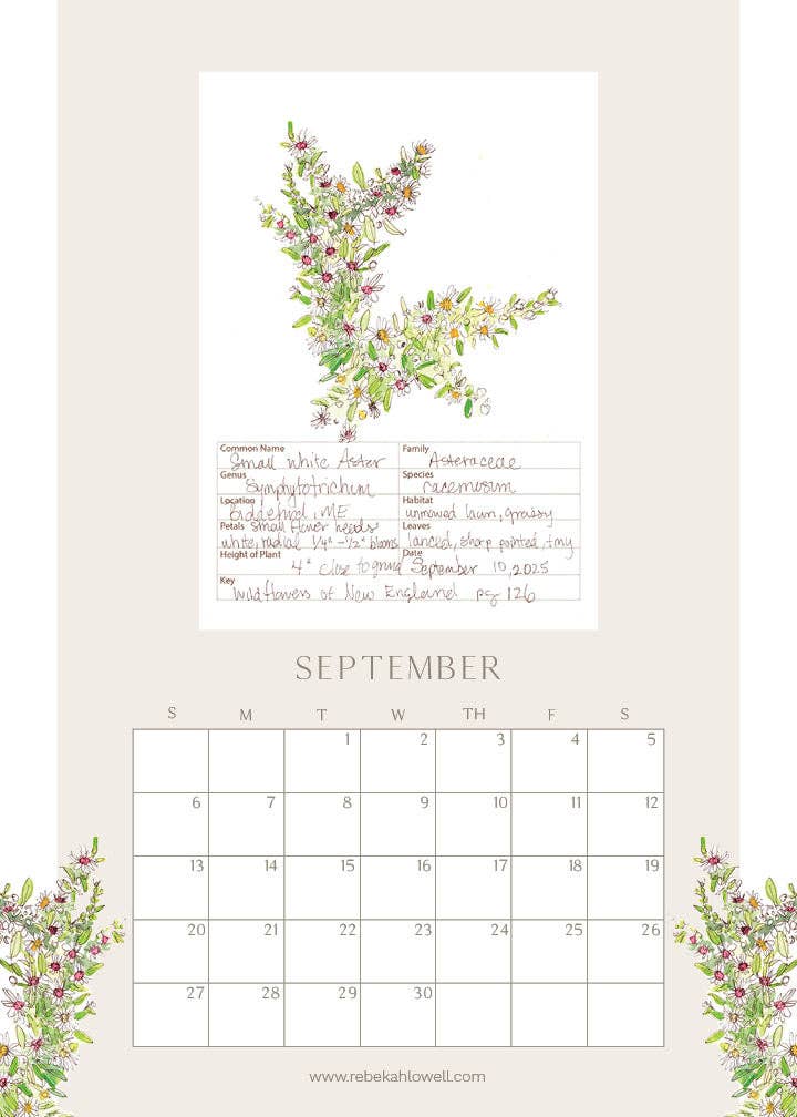 Rebekah Lowell Creative Studio - Wholesale Calendar - 2026 Wildflower Wall Calendar9