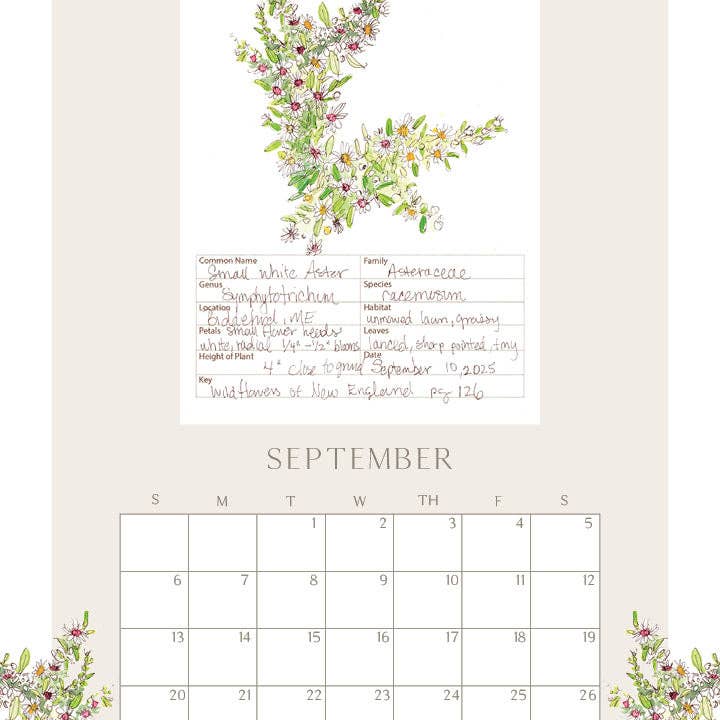 Rebekah Lowell Creative Studio - Wholesale Calendar - 2026 Wildflower Wall Calendar9