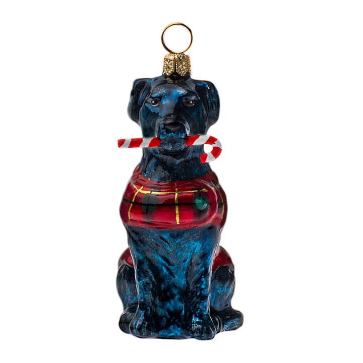 Black Lab com enfeite de vidro de cana de doces por atacado de Joy To The World Collectibles