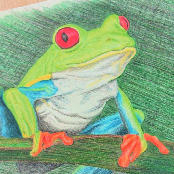 Hannah Kate Makes - Wholesale Art Print - Red Eyed Tree Frog Art Print - Cedric Sammakko - A52