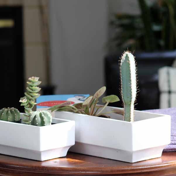 Art Décor Rectangular Planter for wholesale by Pacific Home & Garden