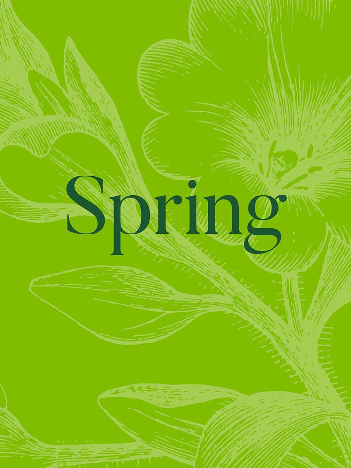 Printemps pour la vente par Abrams