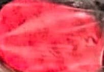 The Bubble Collective – wholesale Bath pouf/sponge – Soap filled exfoliating sponge1