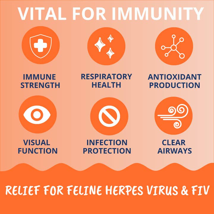 Under the Weather Pet - Wholesale Pet Supplement - Cat - L-lysine Immune Support Chews for Cats2