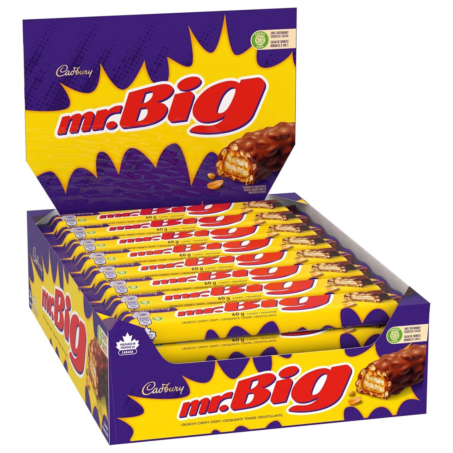 Echo Sales America - Wholesale Chocolate Bar - Cadbury Mr. Big, Original 50 g, case 24ct3