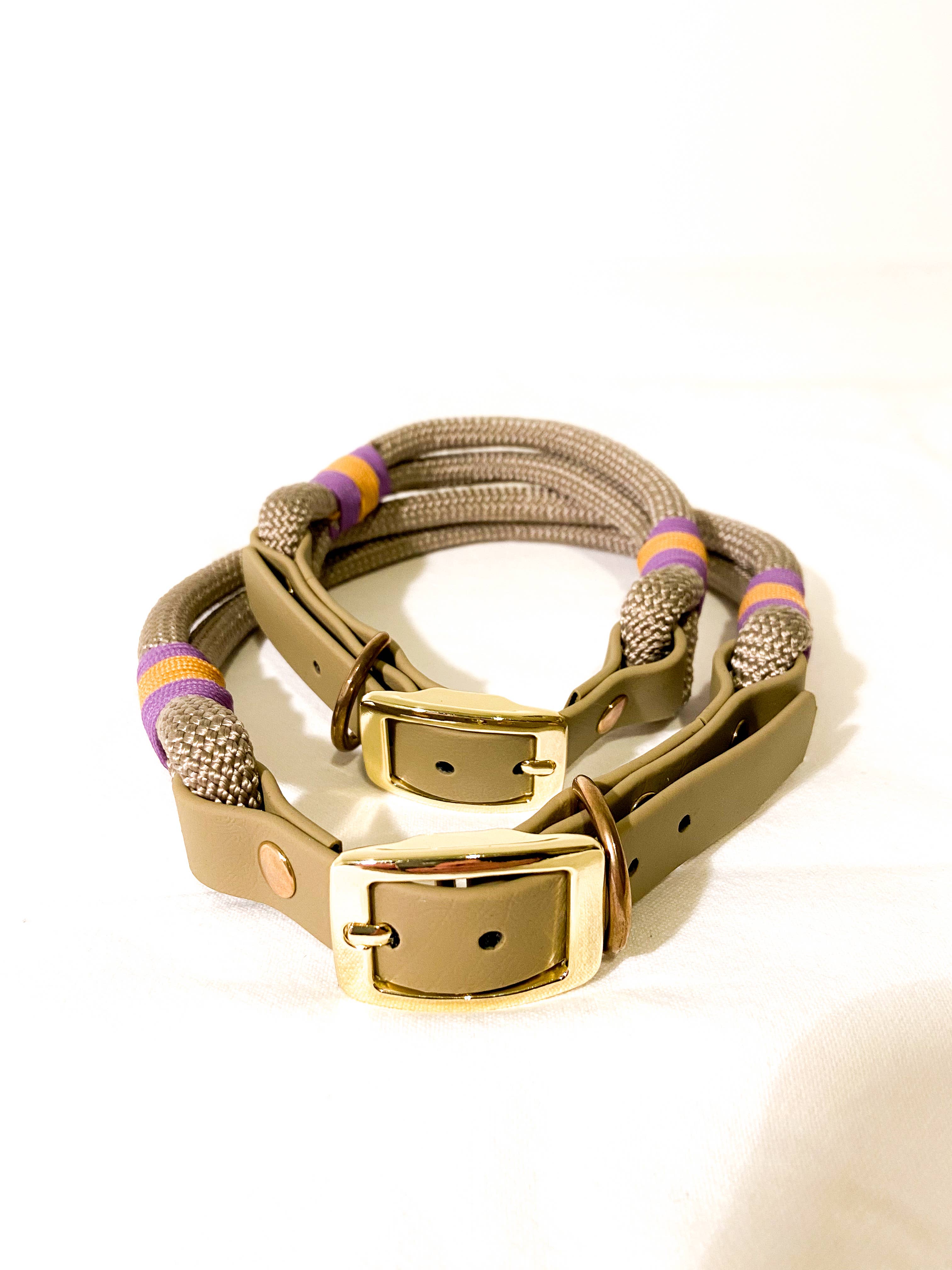 Todas as cores Coleiras e guias para cães em Biothane e paracord para venda a revendedores na Faire7