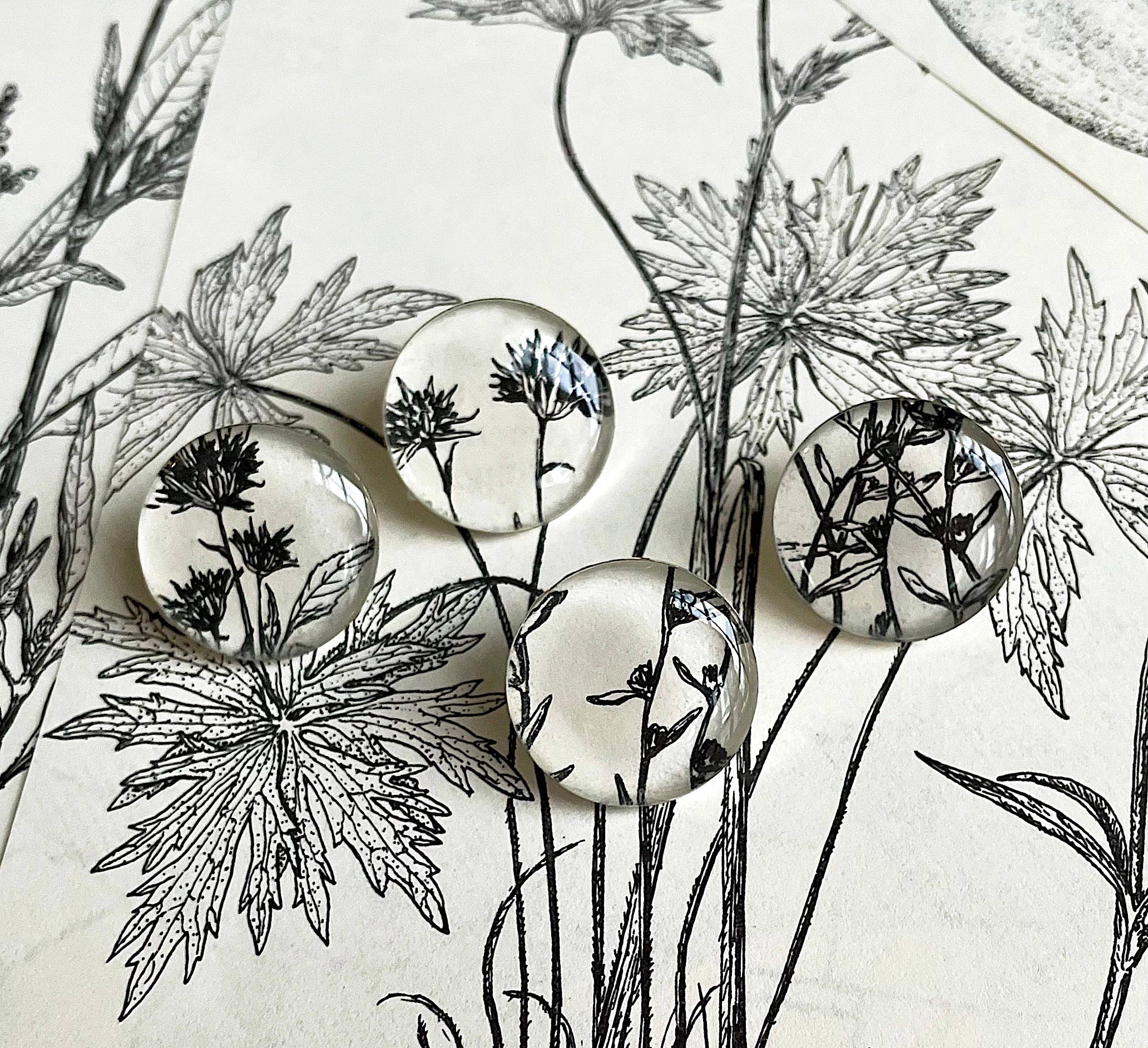 joeyfivecents - Wholesale Stud/Post Earrings - Studs - extra large, black & white, botanicals, garden1