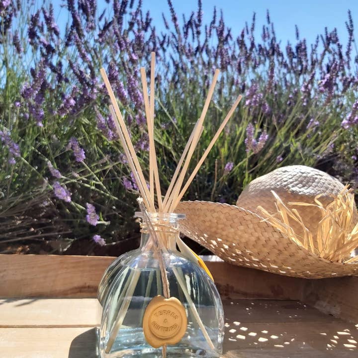 Nicolosi Créations - Wholesale Reed Diffuser - Room diffuser 100ml wax seal (45 scents available)