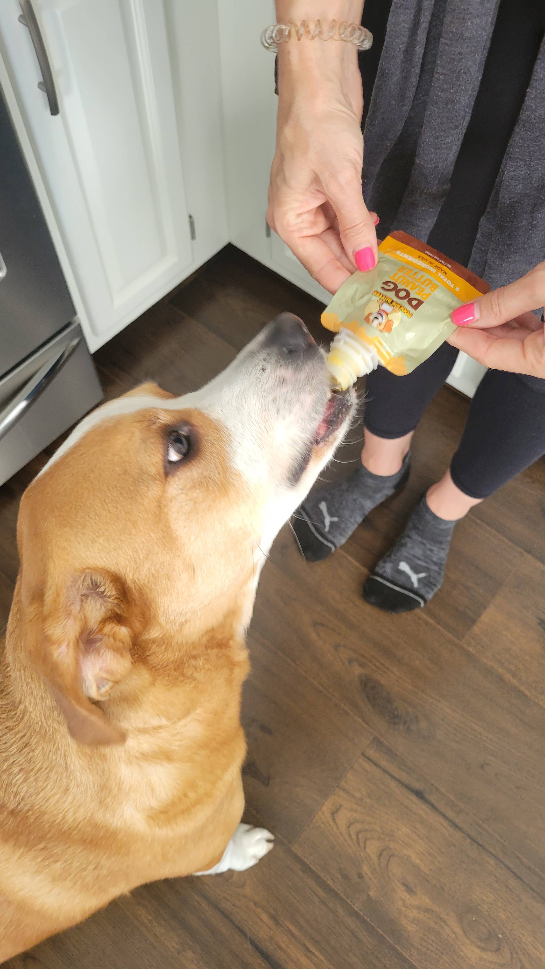 Poochie Butter - Vente Friandises – chien - Pack de purée de citrouille et beurre de cacahuète pour chien 57g3