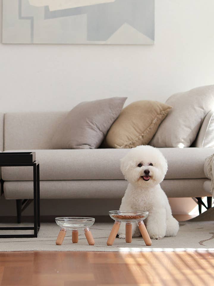 Table pour animaux surélevée en verre Oreo. Hêtre. Court pour la vente par Pets So Good