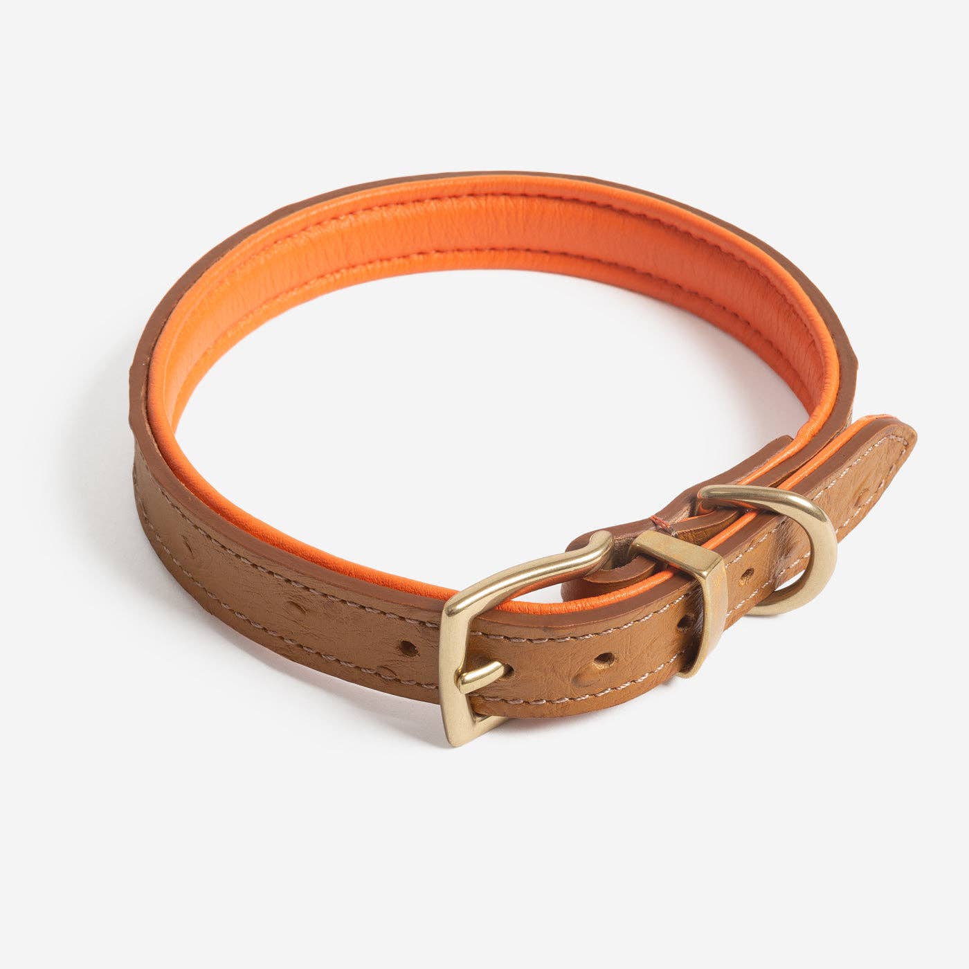 Ostrich Leather Dog Collar in Tan & Orange for wholesale on Faire6