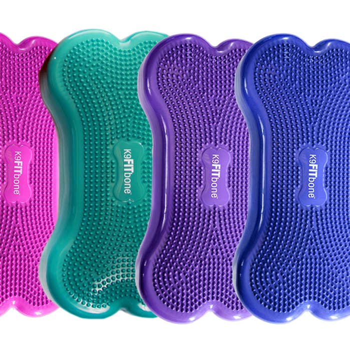 Piattaforma di allenamento CanineGym® K9FitBone Balance - Originale e ulteriori Risultati per attrezzatura toelettatura all'ingrosso. Resi gratuiti e termini di pagamento a 60 giorni su Faire in tendenza su Faire.