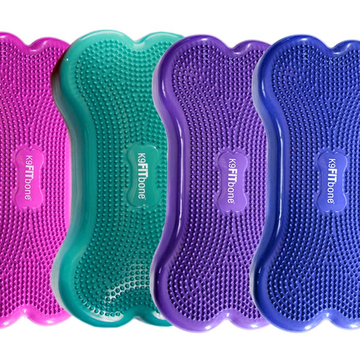 FitPAWS – wholesale Pet toy – Dog – CanineGym® K9FITbone Balance Training Platform – Original