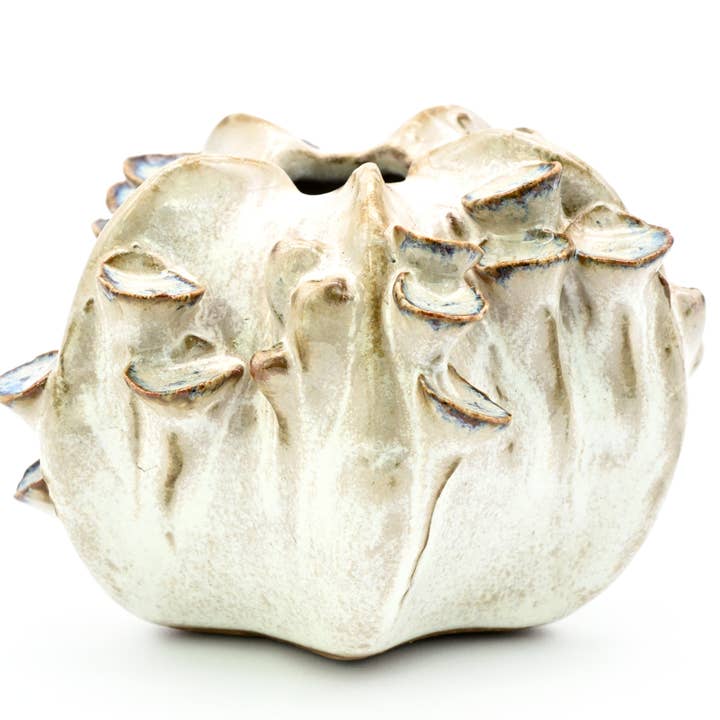 Art Floral Trading LLC - Wholesale Vase - SRI195EFFP Coral with mushroom ceramic vase milk and purple 2