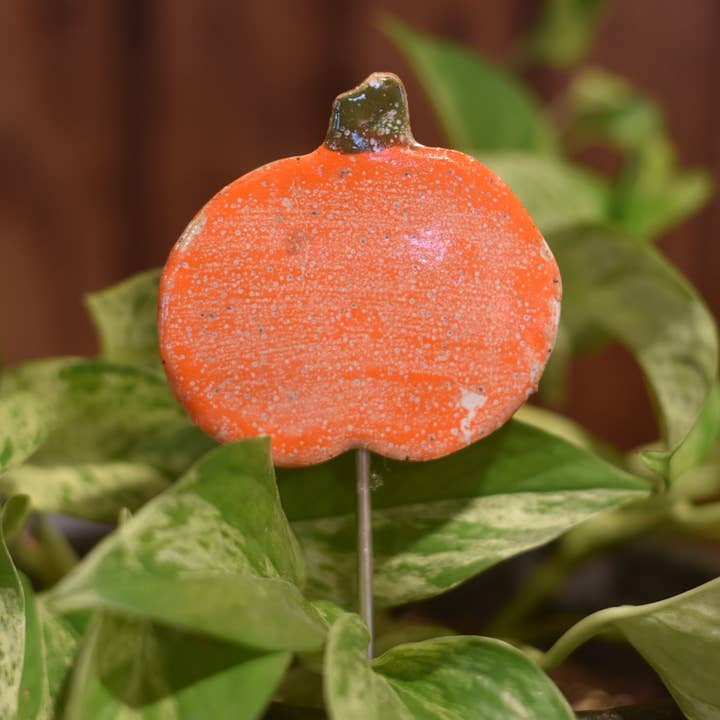 Plant Buddies - Zucca (Autunno/Giardino d'autunno) per la vendita all'ingrosso da parte di Mud & Maker