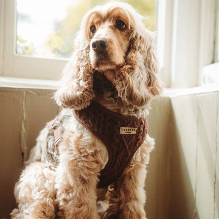 Cocopup London - Wholesale Pet Harness - Dog - Cable Knit Jumper Adjustable Neck Harness - Hot Coco