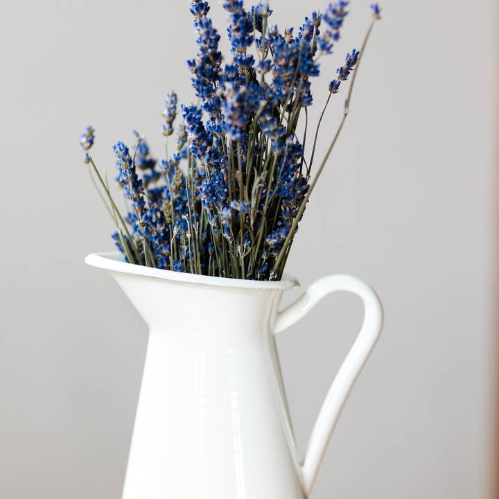 Plainly Elegant Lavender - Wholesale Dried/pressed flowers - Big Time Blue Dried Lavender Bundle4