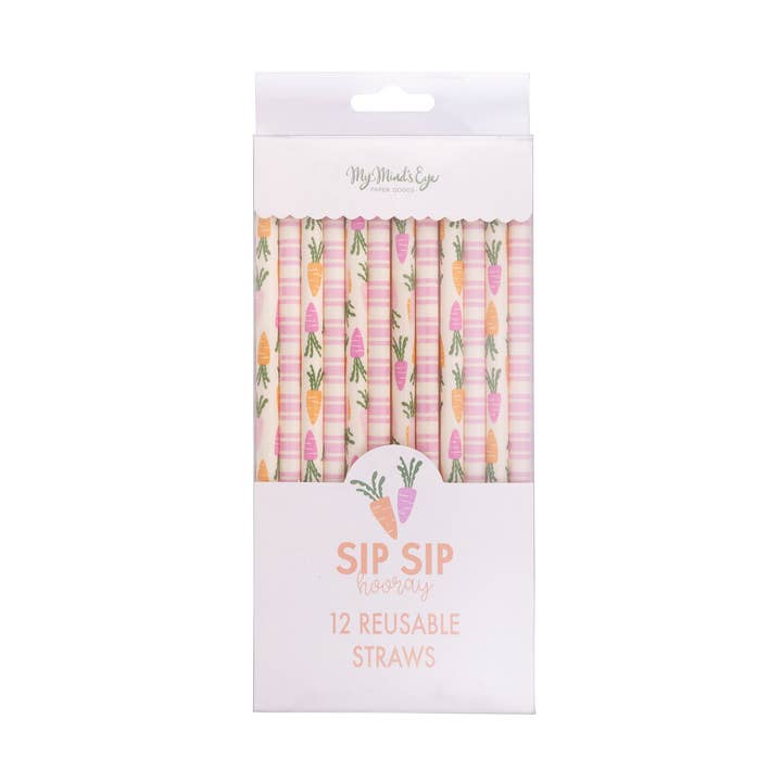 PLSS327 - Carrots and Stripes Reusable Straws for wholesale by My Mind’s Eye