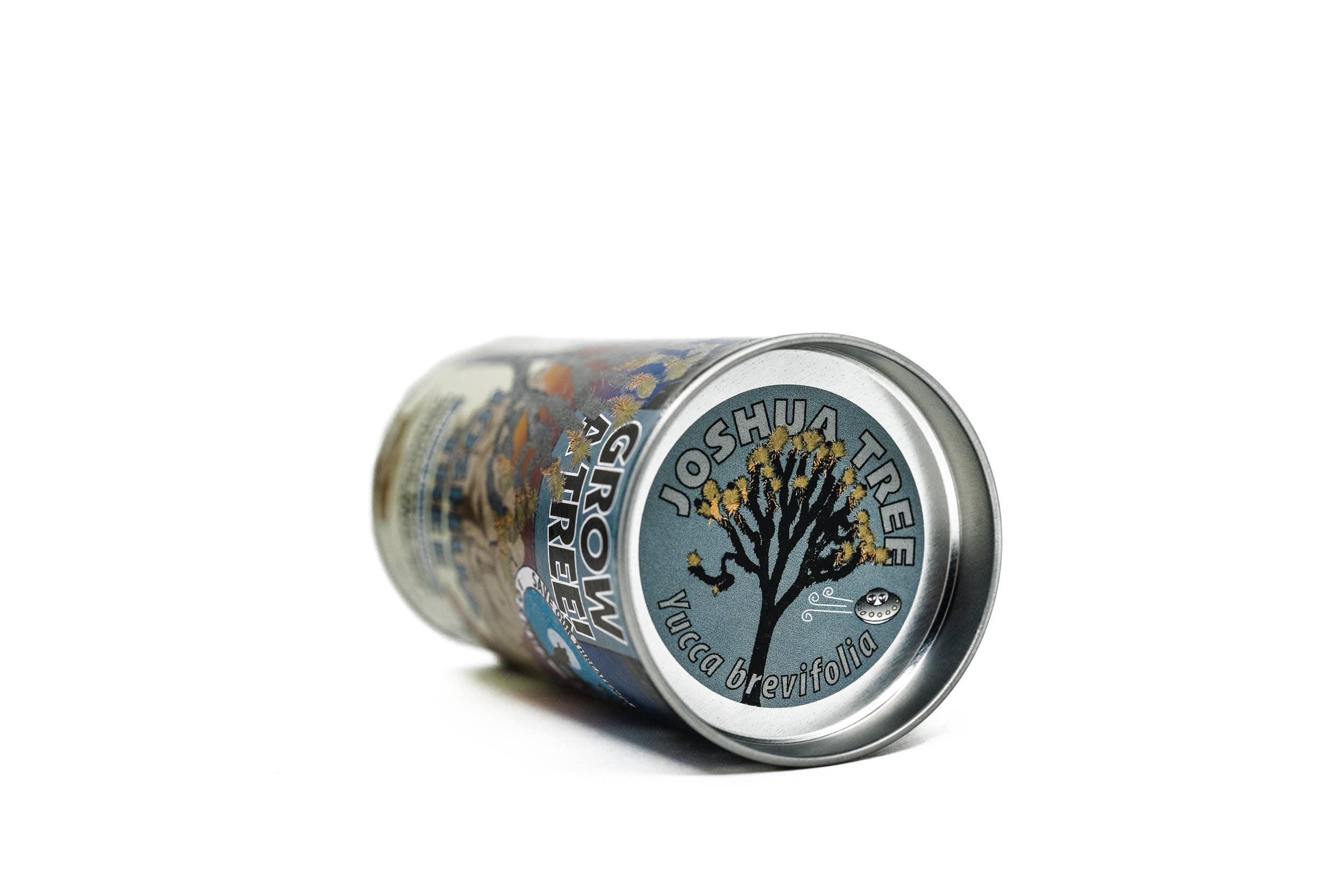 The Jonsteen Company - Wholesale Plant Seeds - Joshua Tree | Seed Grow Kit1