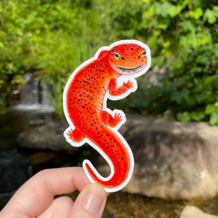 Red Salamander Weatherproof Vinyl Sticker for wholesale by Allison Stoiser Art
