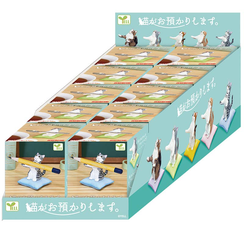 BCmini - Vente Porte-stylos et stylos - 73003 Boîte Mystère Porte-Stylo Chat-101