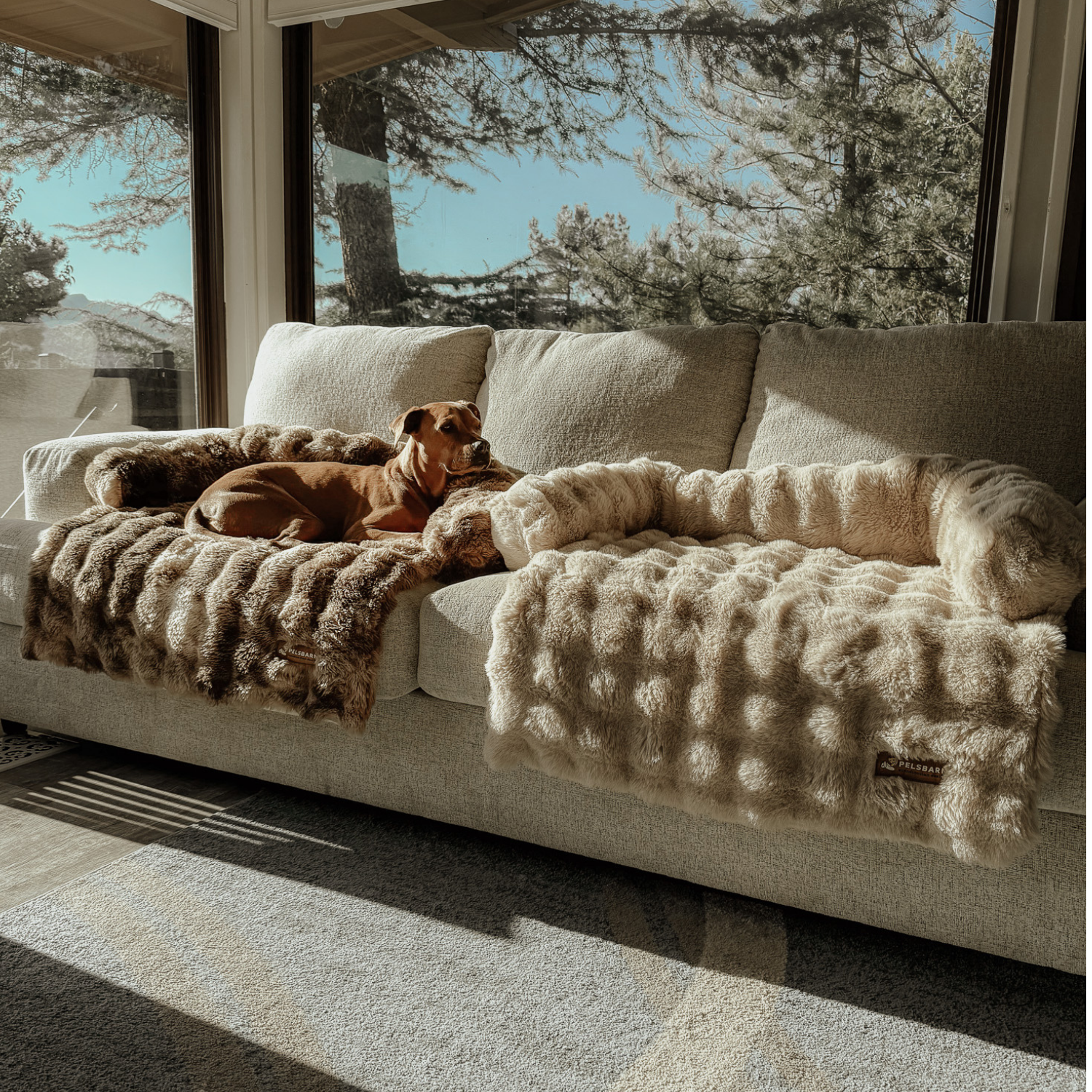 Pelsbarn - Wholesale Pet Bed - Dog - Luxurious Cozy Sofa Bed - Pelsbarn Helps Shelter Dogs!7