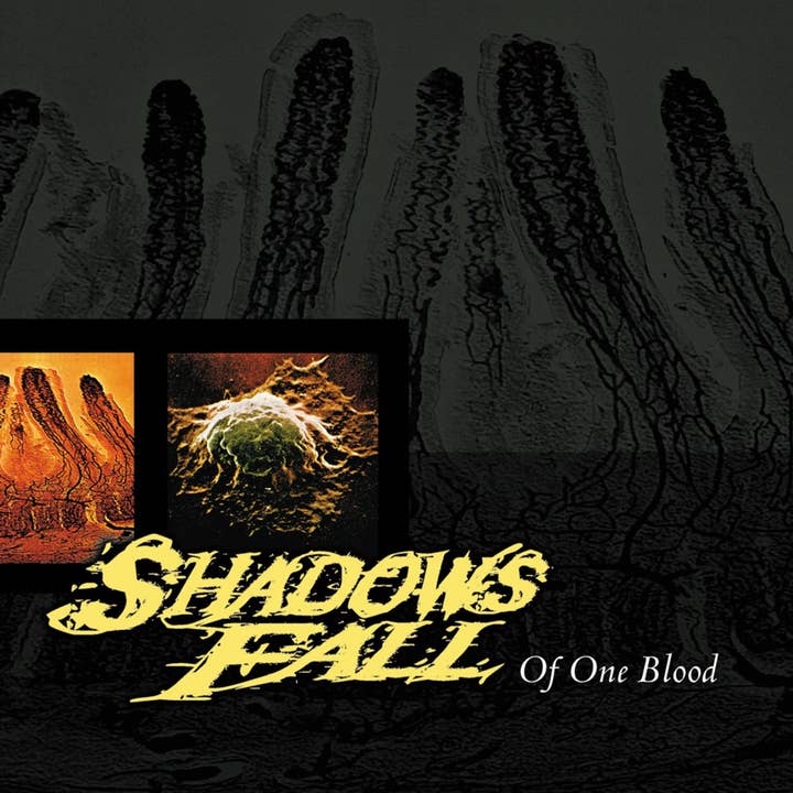 Shadows Fall LP - Of One Blood (Blutrotes Vinyl) für den Großhandel von ROCK INDUSTRIES EUROPE LIMITED