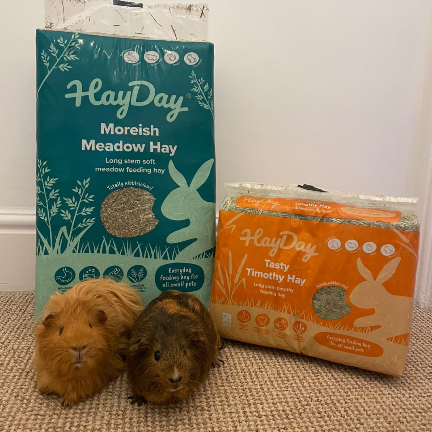 HayDay – wholesale Pet food – Not cat/dog – Tasty Timothy Hay 1kg8