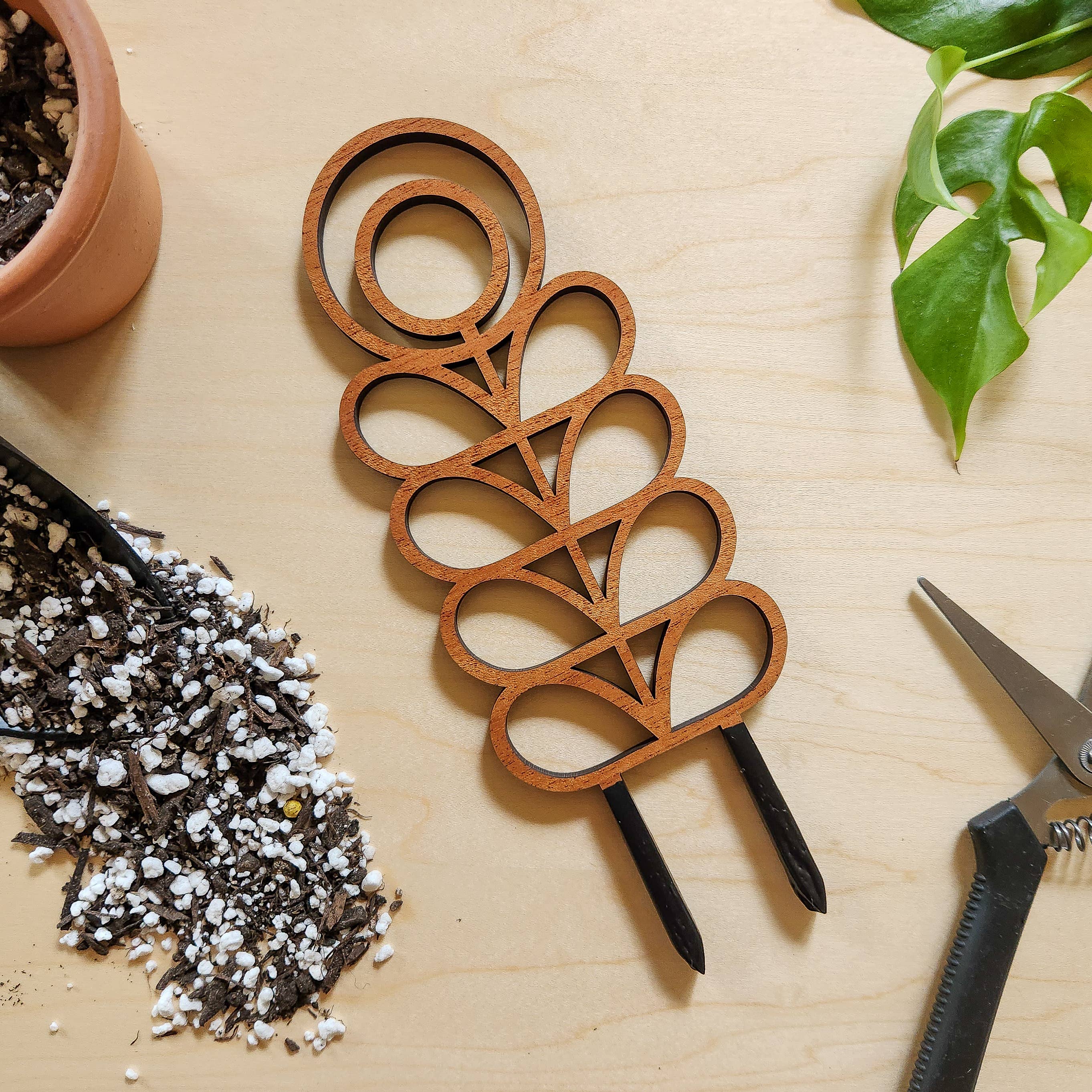 Leaf & Node - Vente Treillis - Treillis pour plantes d'intérieur en bois de style MCM (Zinnia - 2 tailles)4