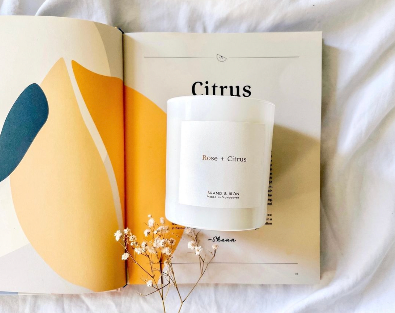 Brand & Iron – Vela em jarro/copo por atacado – Série Home: Rosa + Citrus2