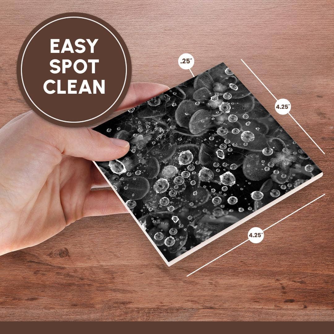 3dRose - Vente Sous-verre - 3dRose, Photographie macro en noir et blanc de gouttes de pluie sur une toile d'araignée., Dessous de verre6