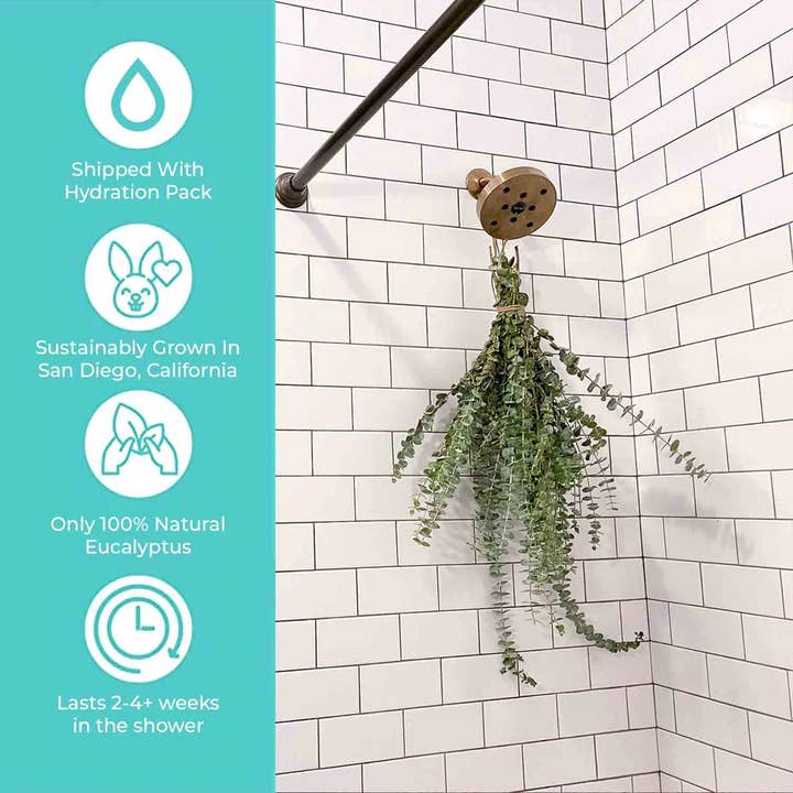 Self-Care Shower - Wholesale Live Plant - Fresh Eucalyptus Bundle | For Shower/Vase | SAN DIEGO GROWN