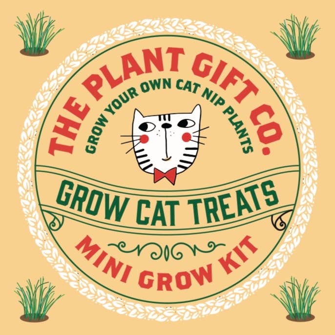 The Plant Gift Co. – wholesale Plant seeds – Grow Cat Treats. Cat Lovers Eco Mini-Grow-Kit
