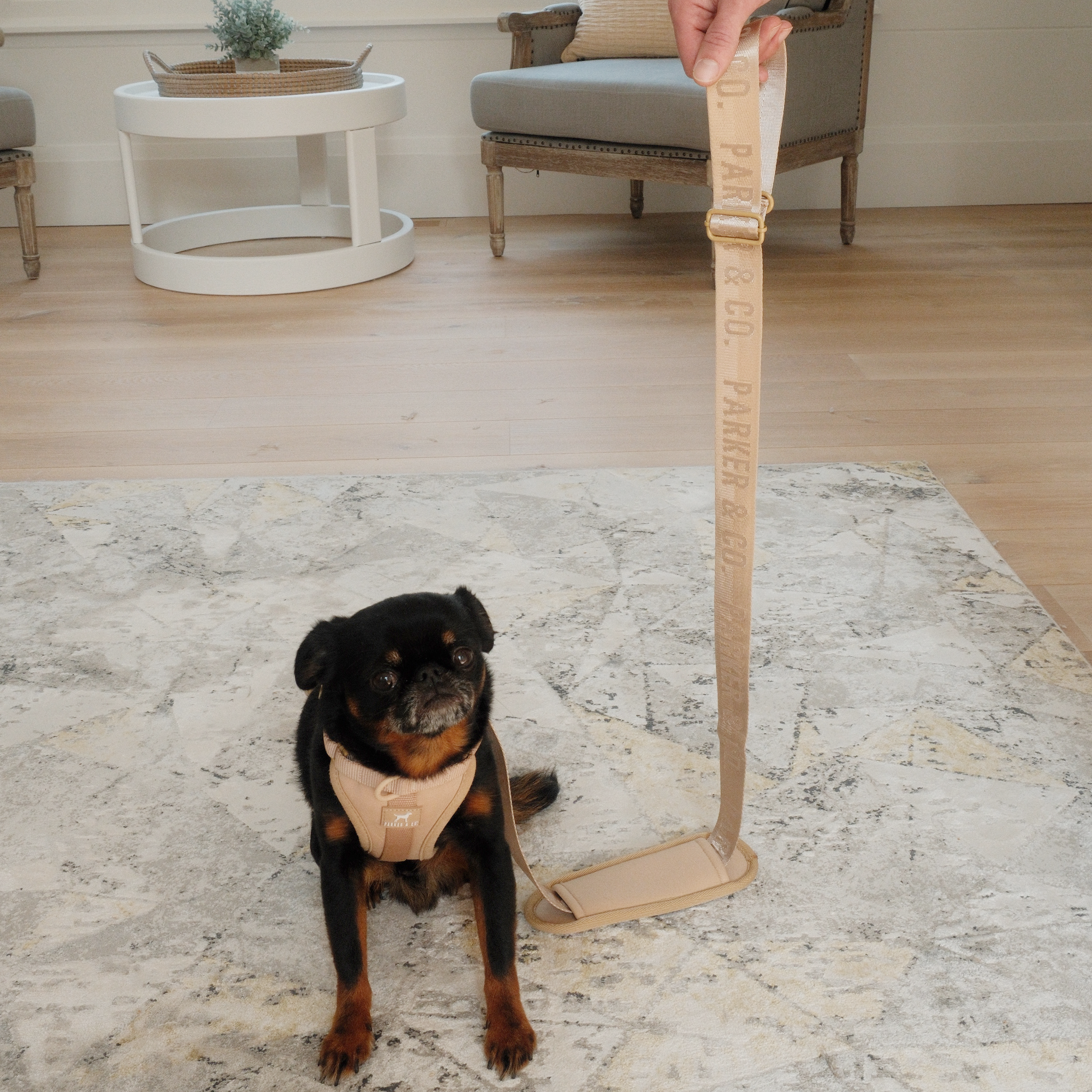 Bräune Von Fluggesellschaften zugelassene Reisetragetasche für kleine Hunde und Katzen für den Großhandel auf Faire9