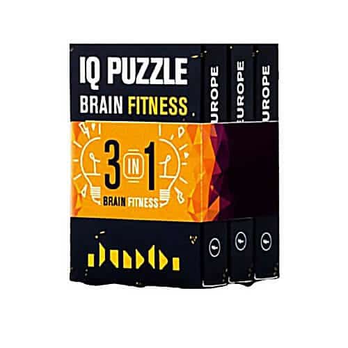 Geek Toys US - Wholesale Puzzle - Adult - IQ Puzzle - Adult Brain Teaser6