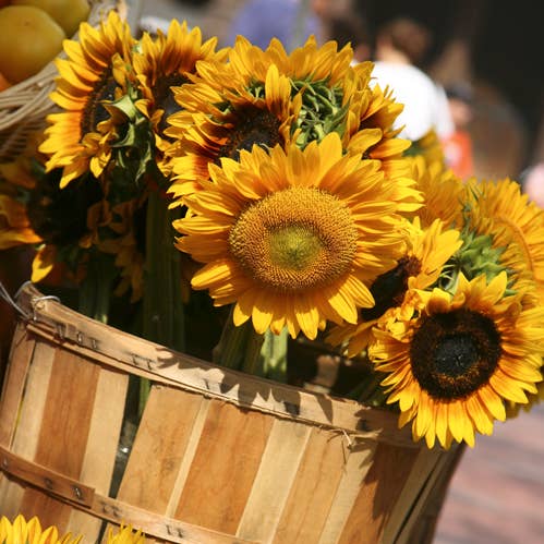 All Little Cute Things - Wholesale Retailer Display - Home & Living - Half Bushel Wood Basket Display Prop Autumn Fall Decor1