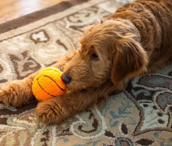 Pet Palette Distribution - Wholesale Pet Plush Toy - Dog - ThoozyPet Basketball Plush Dog Toy 4"